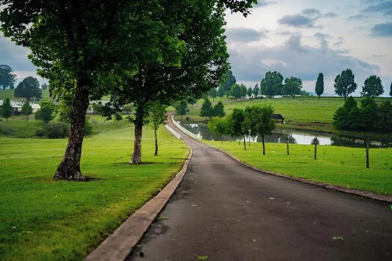 ペンション St Ives Lodge
