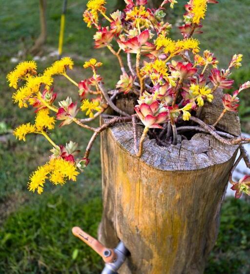 Terme E Spa Assolatina Agriturismo