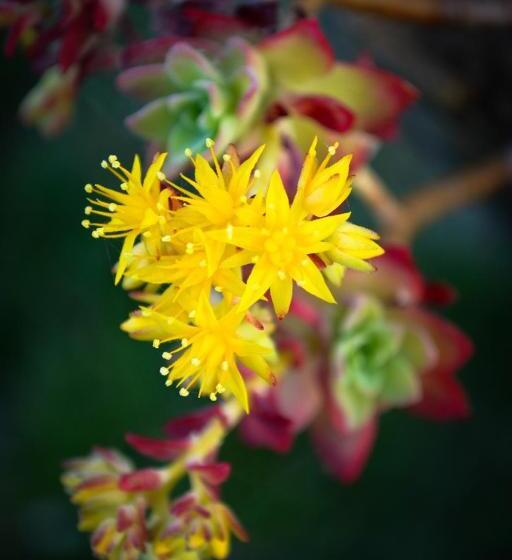 Terme E Spa Assolatina Agriturismo