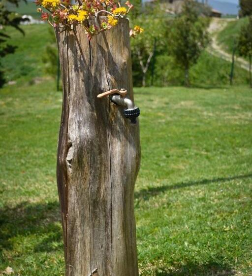 Terme E Spa Assolatina Agriturismo