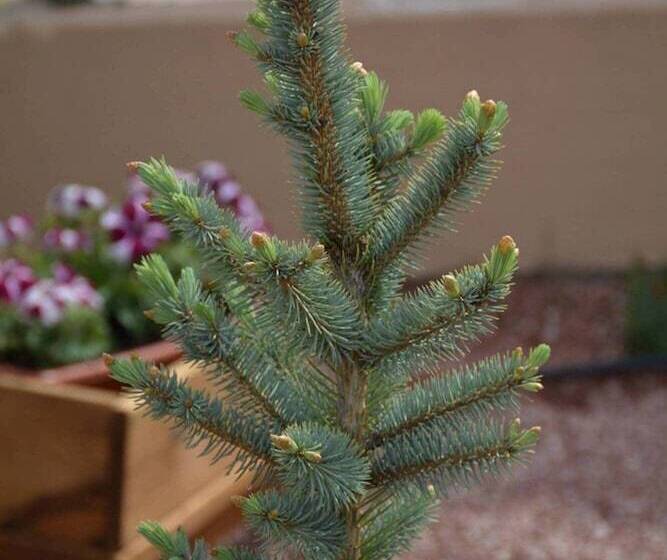 הוסטל Casa Rural Pico De Los Haces