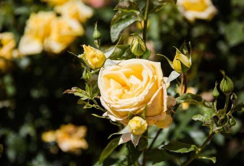 הוסטל Casa Rural Pico De Los Haces