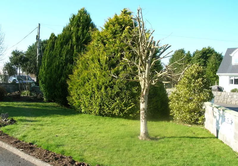 هتل Clareville B&b