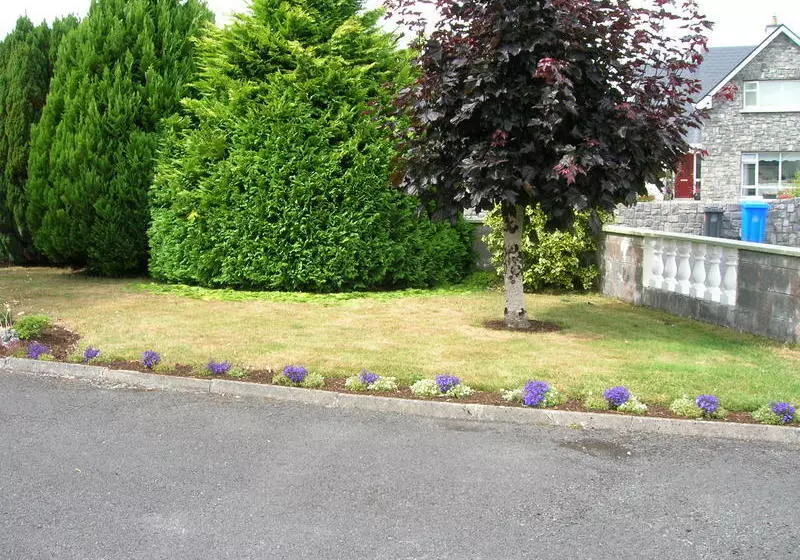 هتل Clareville B&b