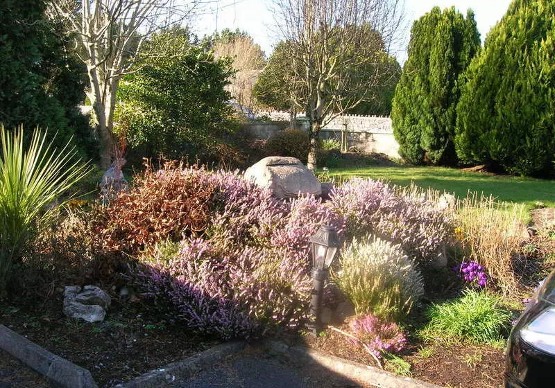هتل Clareville B&b