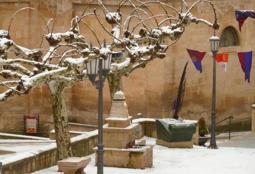 Maaseutuhotelli Rural Villa De Silos