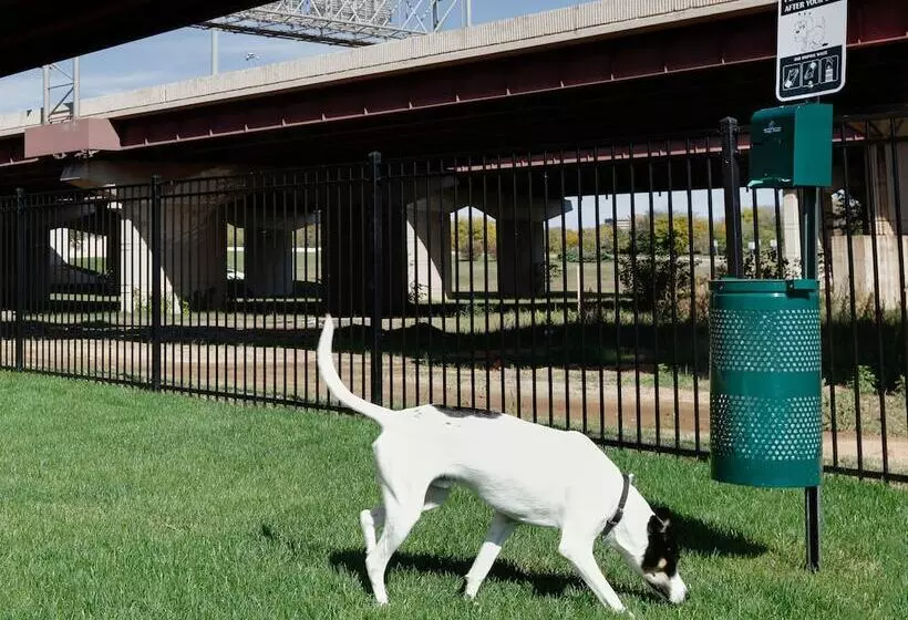Hotelli Staybridge Suites   Oklahoma City   Downtown, An Ihg