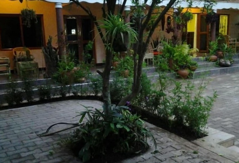 تختخواب و صبحانه Alpha Country Motel