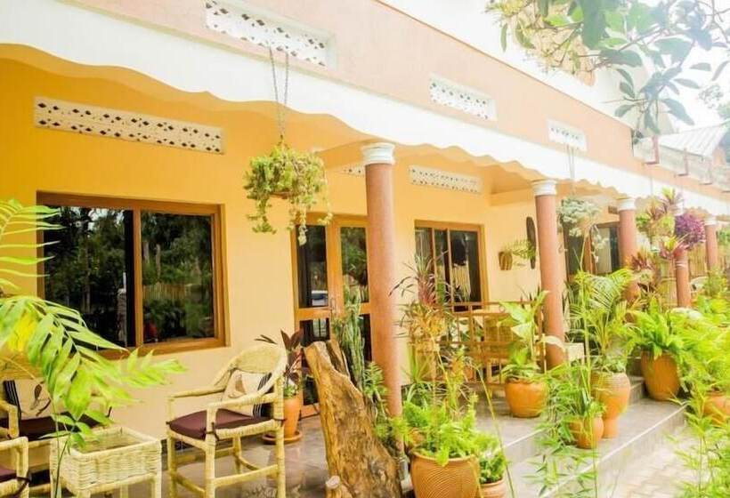 تختخواب و صبحانه Alpha Country Motel