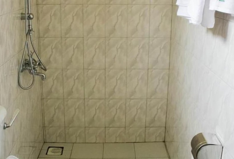 تختخواب و صبحانه Alpha Country Motel