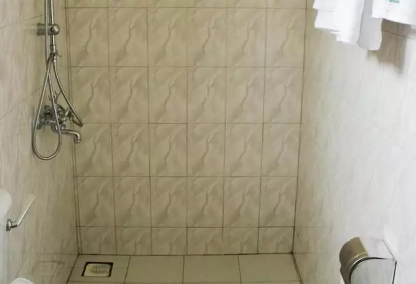 تختخواب و صبحانه Alpha Country Motel