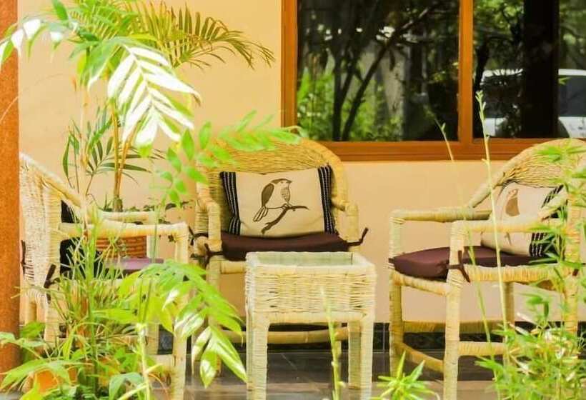 تختخواب و صبحانه Alpha Country Motel