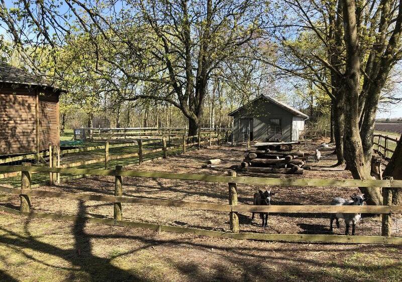 Отель Hestkær Family Rooms Summer Camp