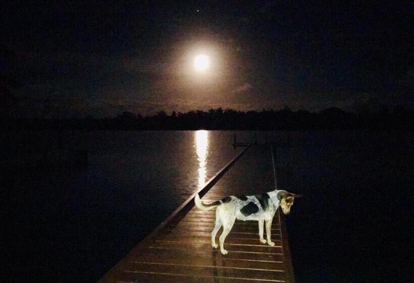 هتل Seachange Lodge