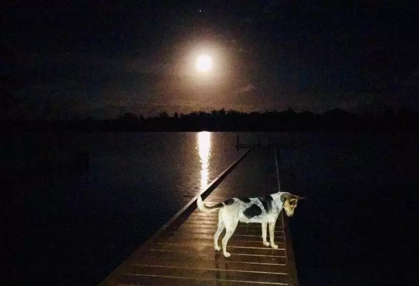 Hôtel Seachange Lodge