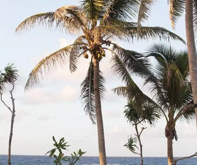 استراحتگاه Tamanu On The Beach