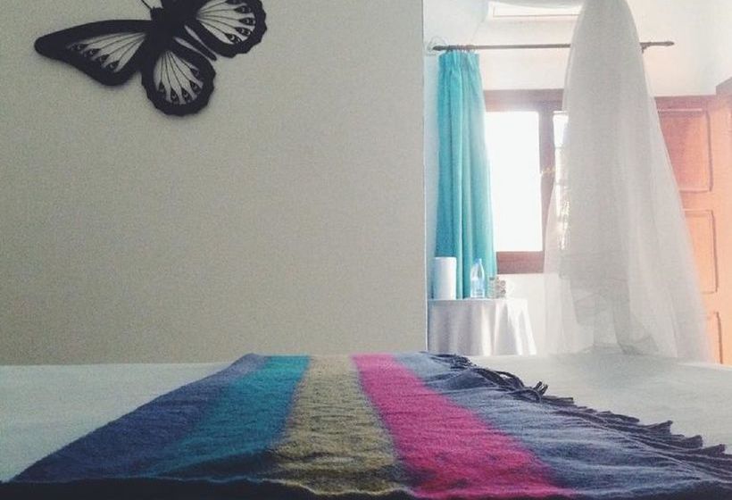 住宿加早餐  Acacia Guest House