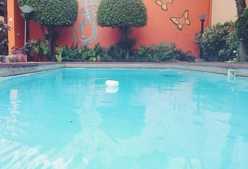 住宿加早餐  Acacia Guest House