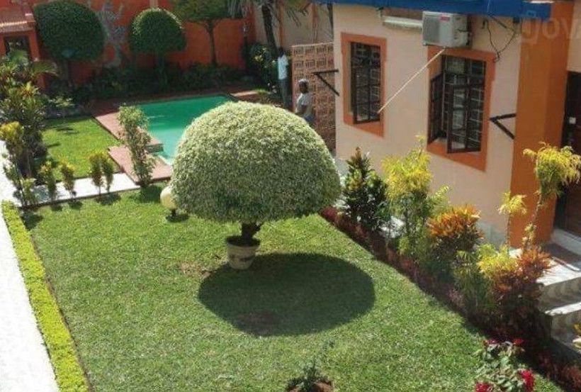 住宿加早餐  Acacia Guest House