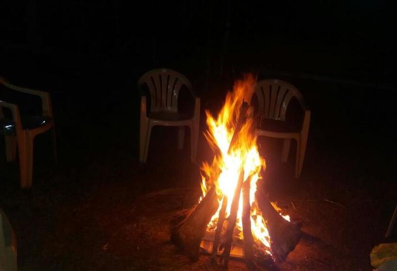 Grand Ambience Resort