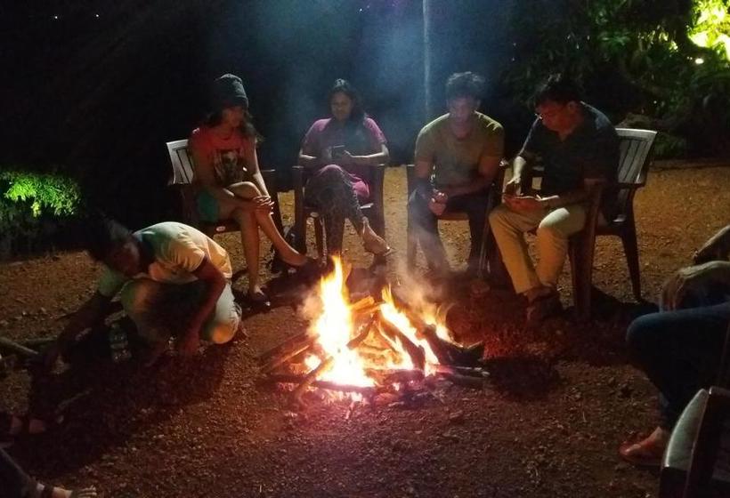 Grand Ambience Resort