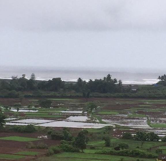 Grand Ambience Resort