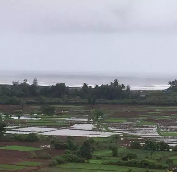 Grand Ambience Resort