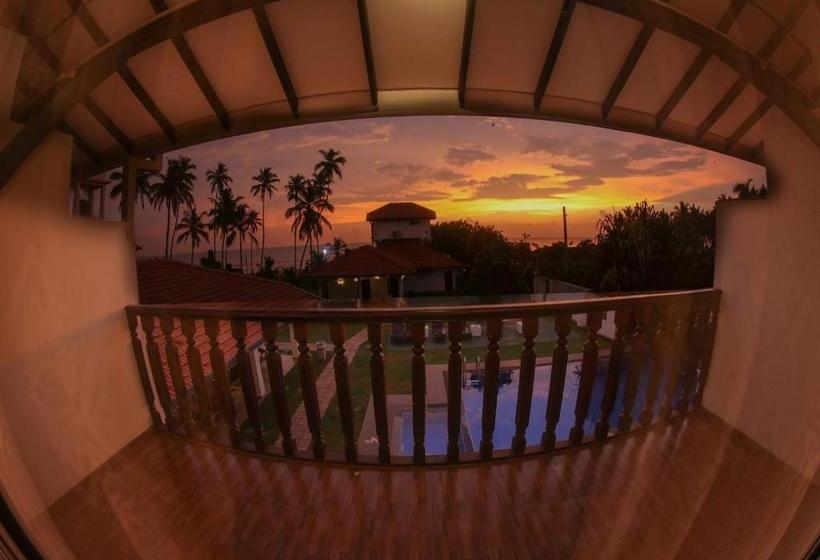 Отель White Rose Beach Resort