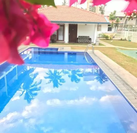 هتل White Rose Beach Resort