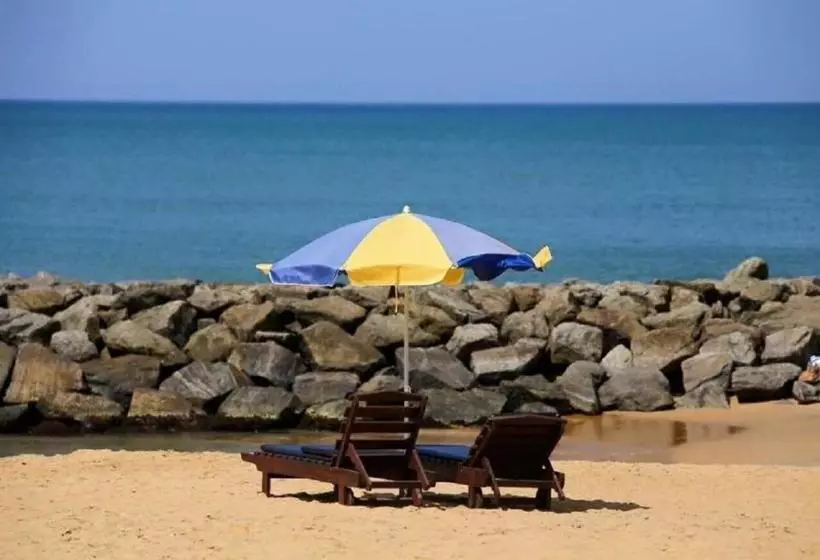 هتل White Rose Beach Resort