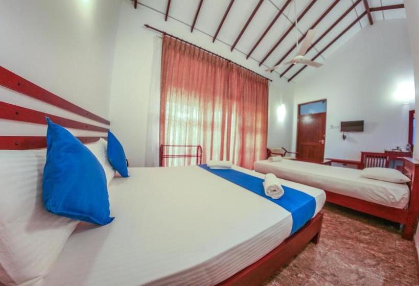 Отель White Rose Beach Resort