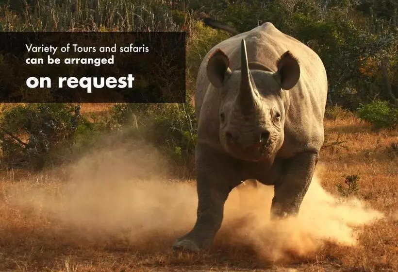 Retkeilymaja Luxury Backpackers