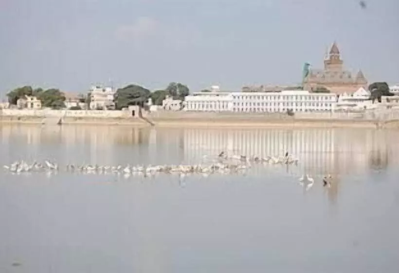 Dream Resort