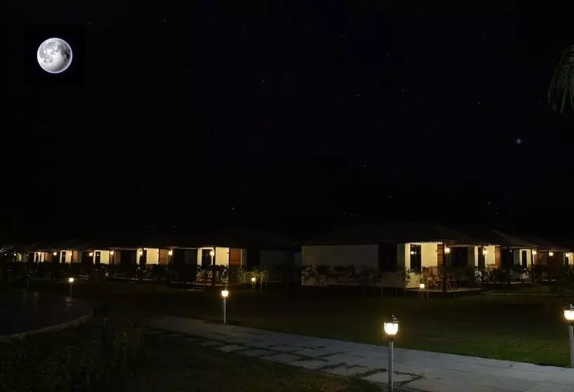Dream Resort