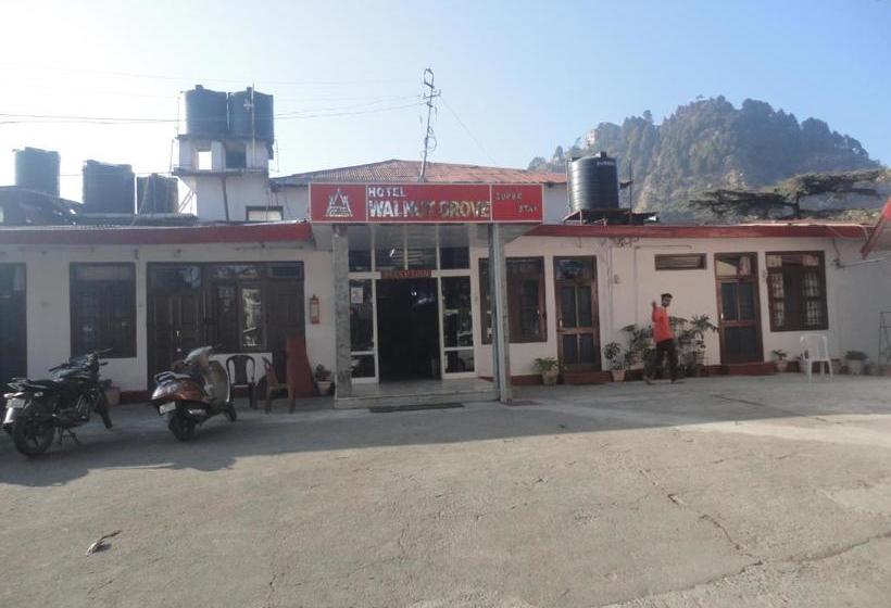 فندق Walnut Grove