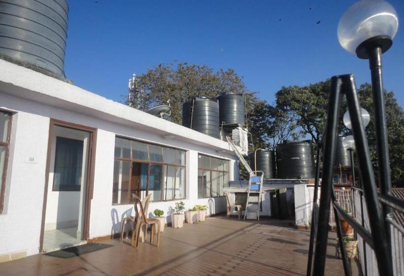 فندق Walnut Grove