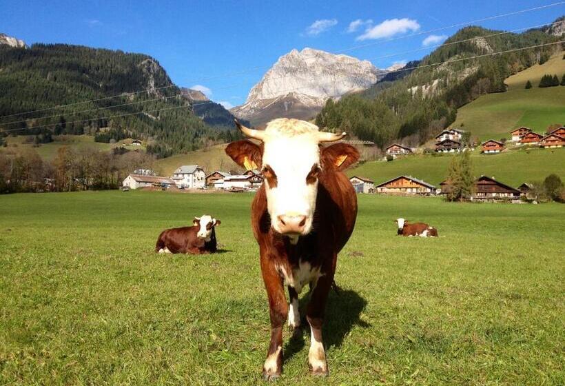 Bed and Breakfast Chalet Peloton