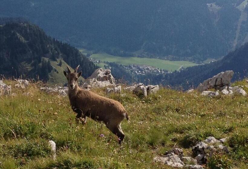 Bed and Breakfast Chalet Peloton