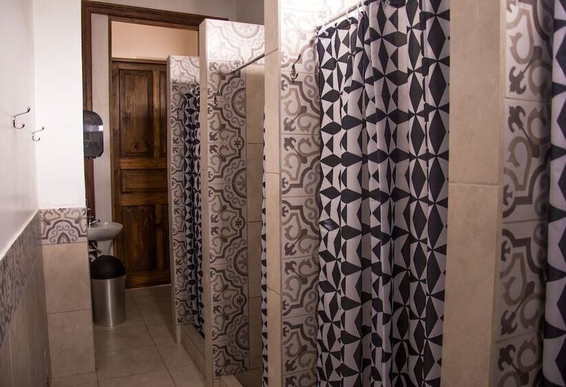 فندق Orchid Hostels