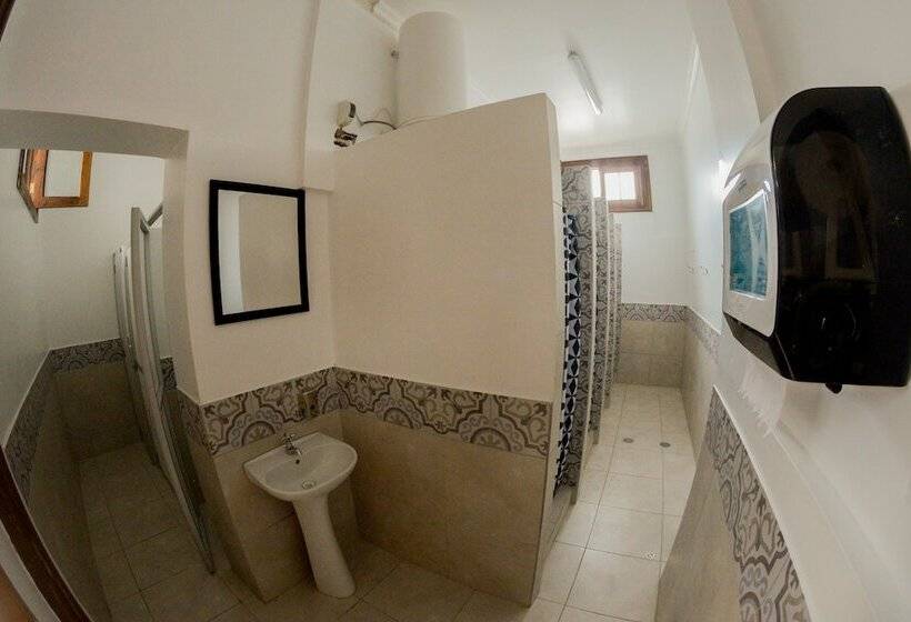 فندق Orchid Hostels