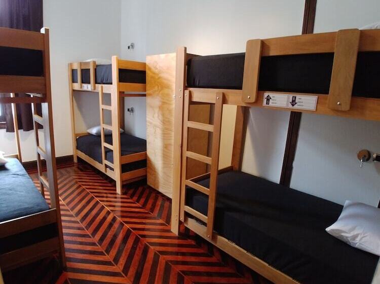 فندق Orchid Hostels