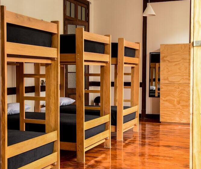 فندق Orchid Hostels