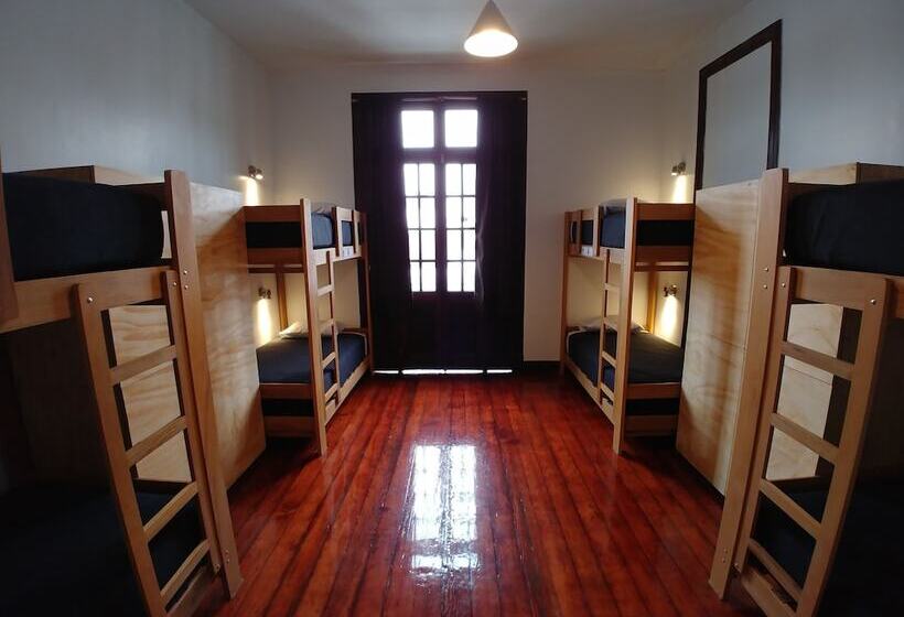 فندق Orchid Hostels