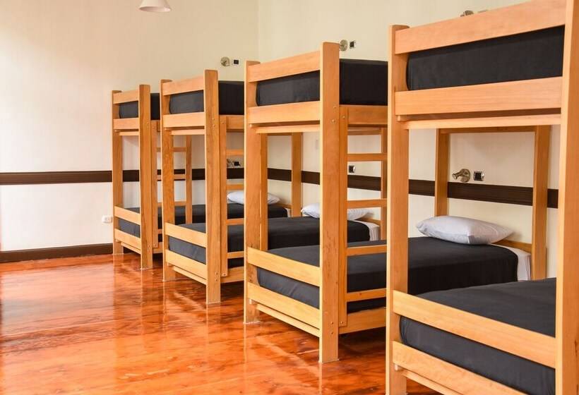 فندق Orchid Hostels