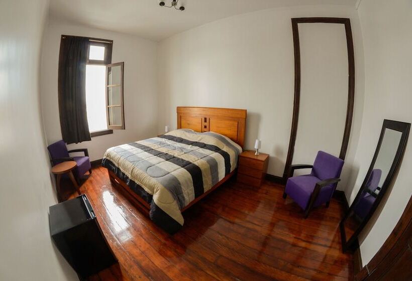 فندق Orchid Hostels