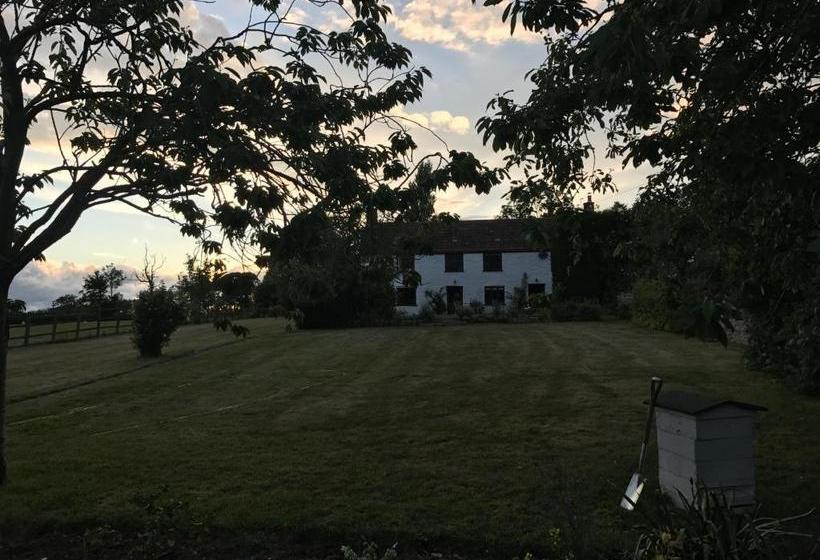 مبيت وإفطار Mount Pleasant Farm