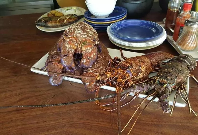 هتل Casa Café Mindelo