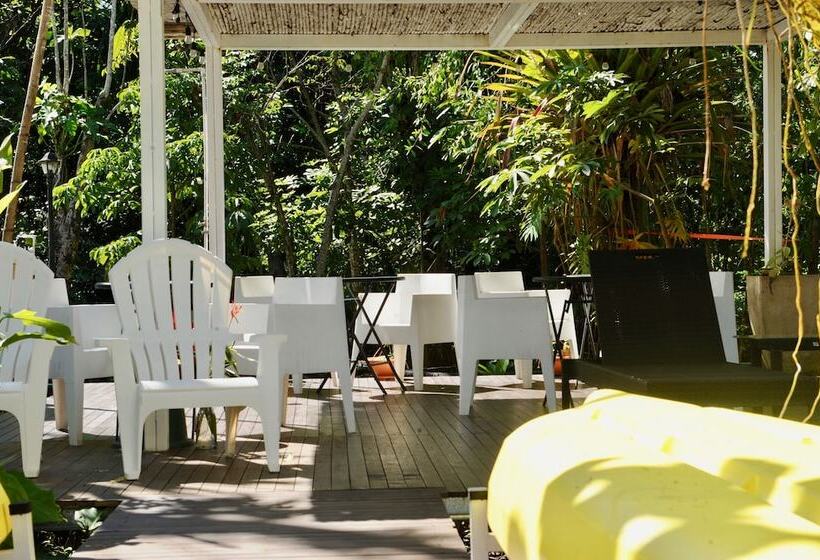 هاستل Dreamcatcher Eco Lodge Adults Only