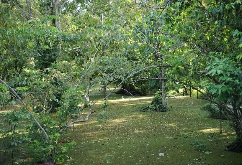 هاستل Dreamcatcher Eco Lodge   Adults Only