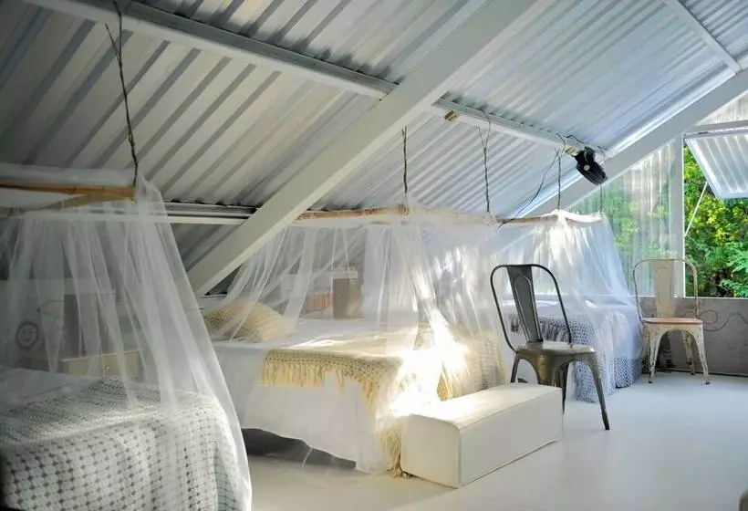 هاستل Dreamcatcher Eco Lodge   Adults Only